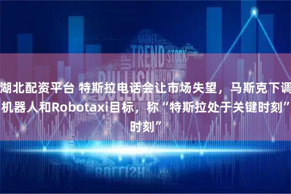 湖北配资平台 特斯拉电话会让市场失望，马斯克下调机器人和Robotaxi目标，称“特斯拉处于关键时刻”